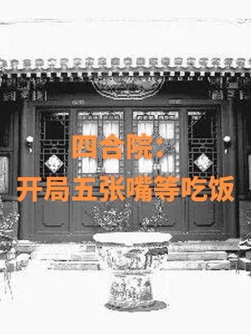 四合院:开局成为