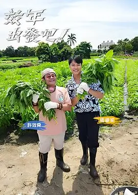 中餐厅 第八季 综艺 2025 湖南卫视